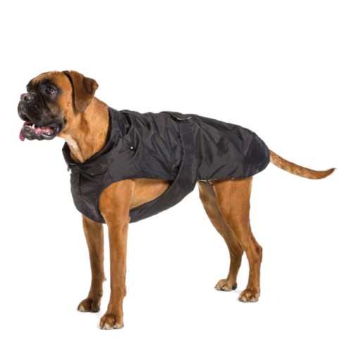 Fashion dog mantello - fashion, cane