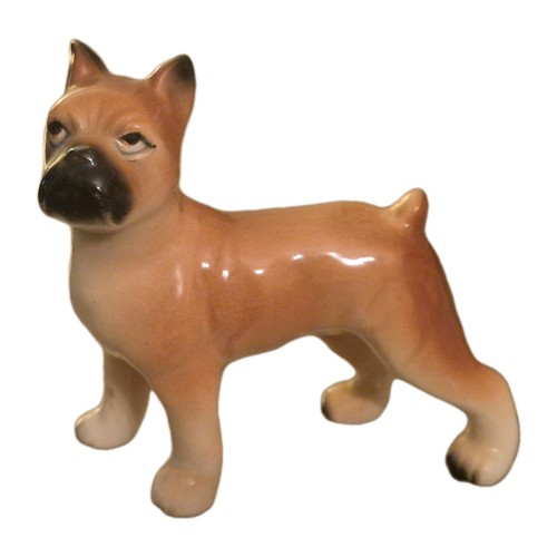 Vintage foreign boxer dog - vintage,
