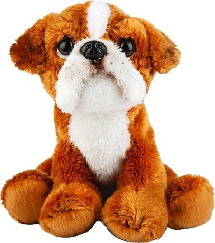 Suki 12135 boxer cane - 13, cm