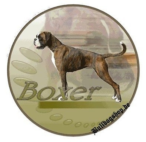 Adesivo motif boxer tedesco - boxer,