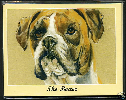 The boxer dog breeds - -,