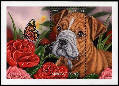 Boxer german dog - boxer, stamp