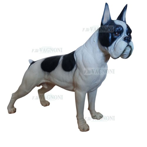 Statua cane boxer decorazione - statua,