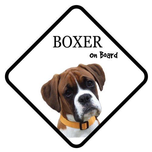 Boxer board car sign with - board,