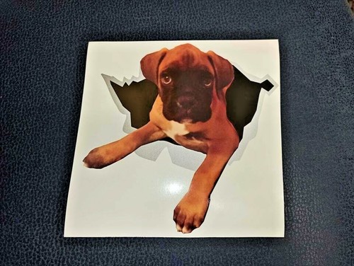 Adesivo cane boxer per - adesivo,
