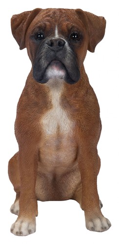 Cane boxer vivid - vivid,