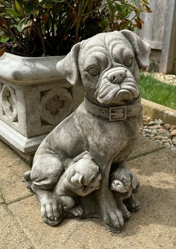 Statua pietra cane e - statua,