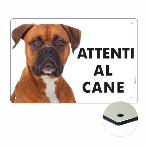 Boxer attenti cane - cane, |