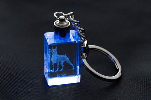 Cane boxer tedesco - cane,