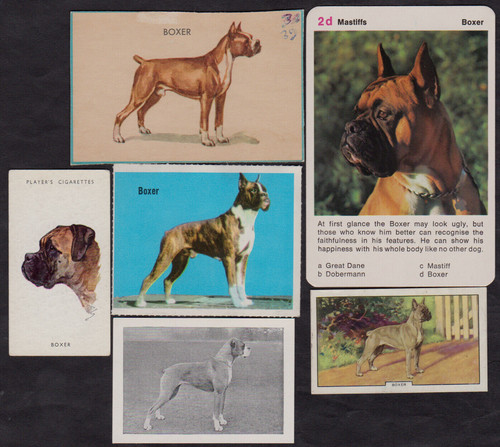 Lotto diverse carte - diverse,