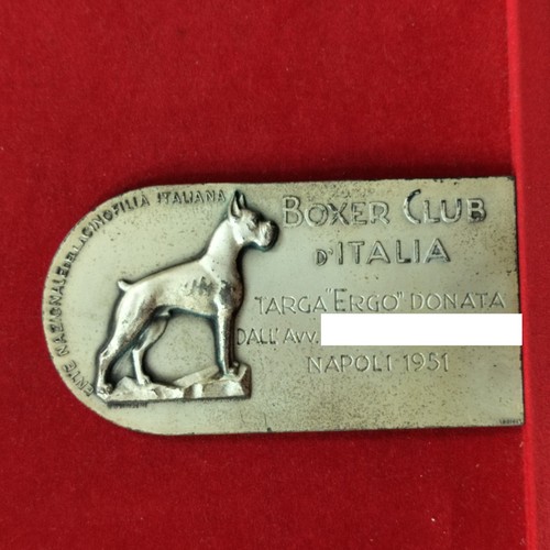 Cane boxer club - cane, napoli