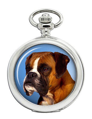 Cane boxer orologio - boxer, tasca
