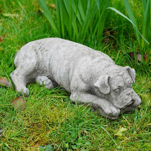 Statua pietra cane boxer - statua, in