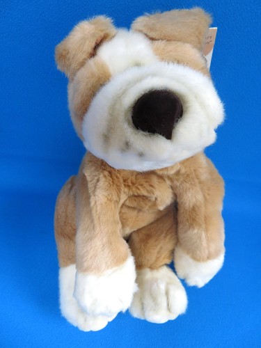 Large lungo boxer rocky - 15",